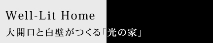 Well-Lit Home 大開口と白壁がつくる「光の家」